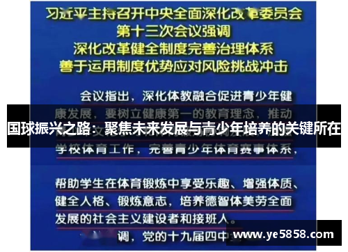 国球振兴之路：聚焦未来发展与青少年培养的关键所在