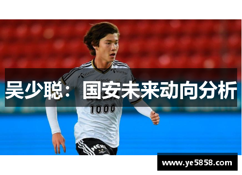 吴少聪：国安未来动向分析