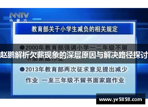 赵鹏解析欠薪现象的深层原因与解决路径探讨